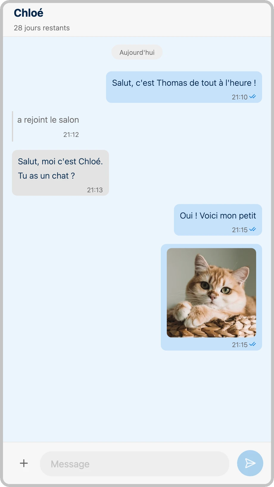 Perch Chat